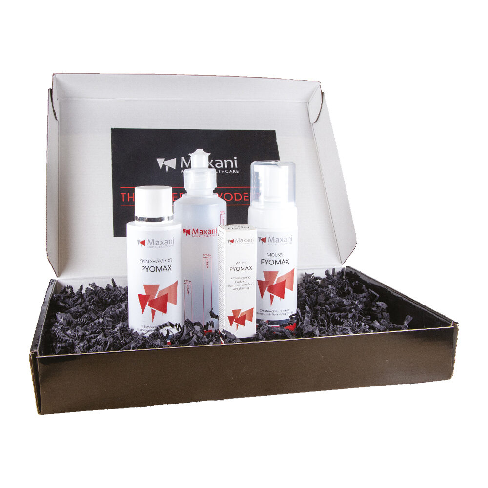 Maxani Therapiebox Pyodermie