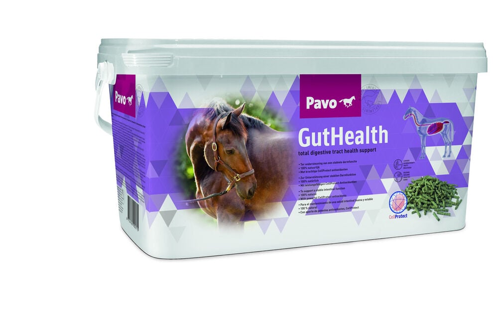 Pavo GutHealth - Supplement - 7.5 Kilogram - Emmer