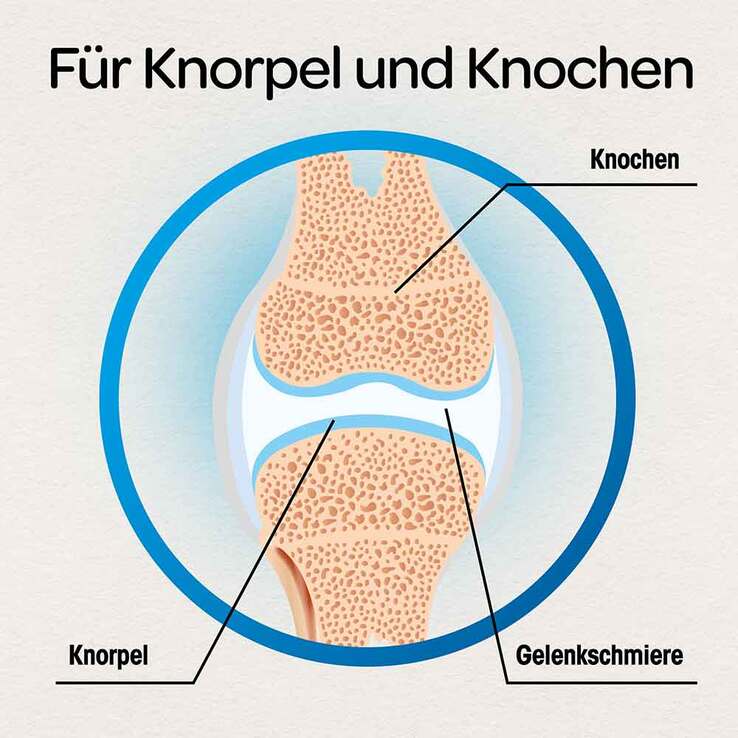 Dr. Böhm Knorpel & Knochen Tabletten, 120 St