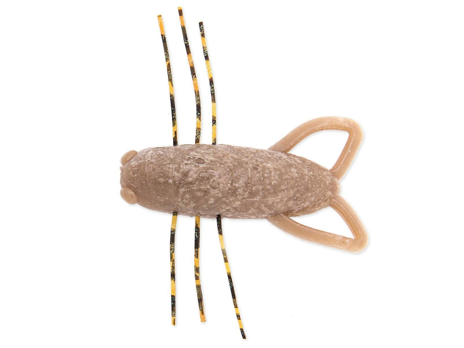 1.6