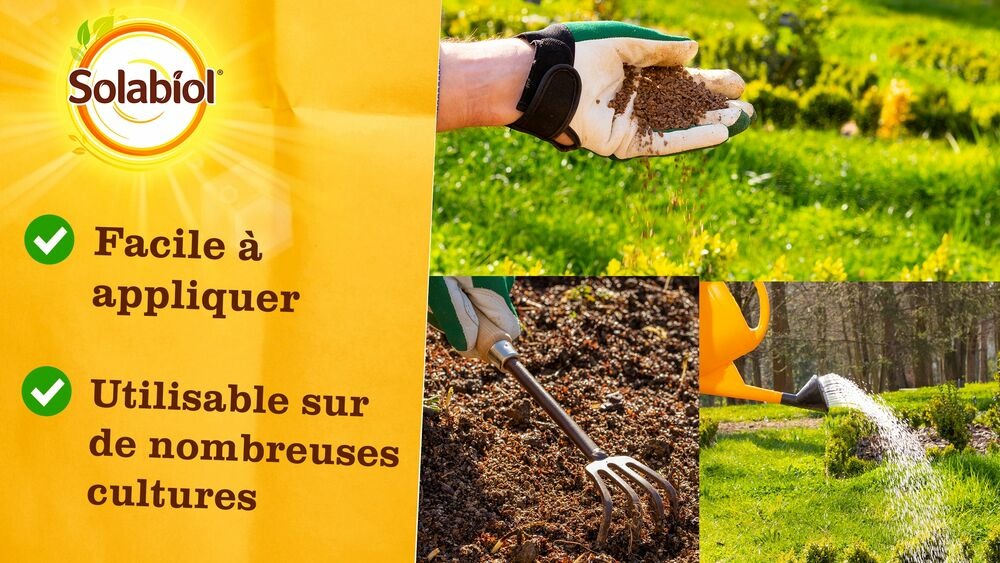 Sopoty5b | engrais potager pomme de terre | 5kg | améliore le développ
