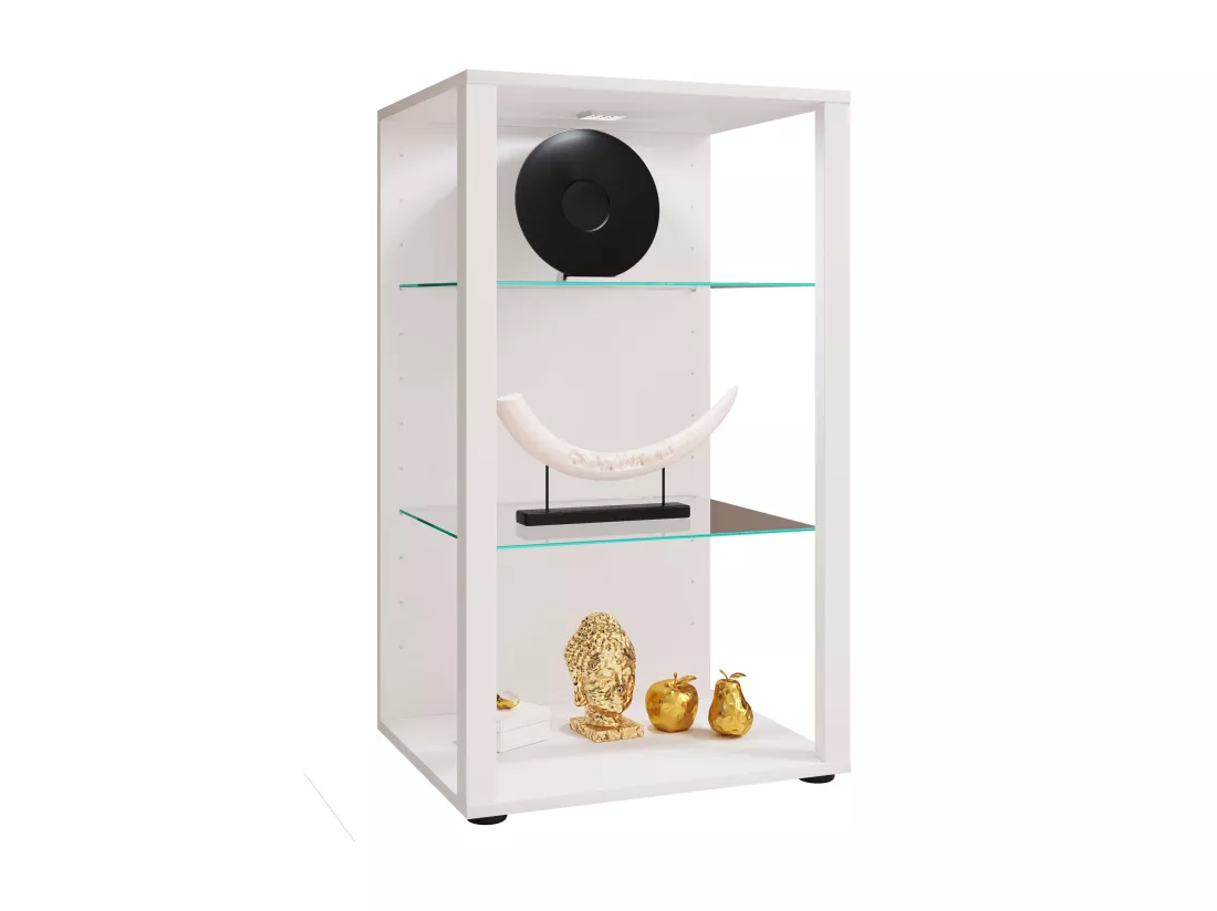 Bois Verre Vitrine Glasol XL