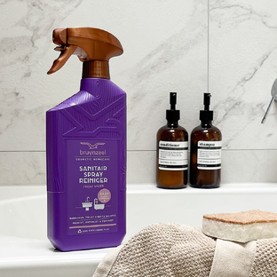 Bruynzeel Cosmetic Homecare Sanitairreinigerspray Fresh Wood 500ML
