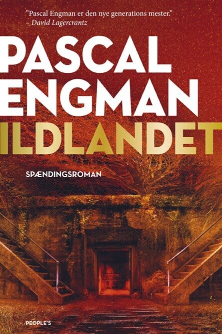 Ildlandet - Pascal Engman - Bog