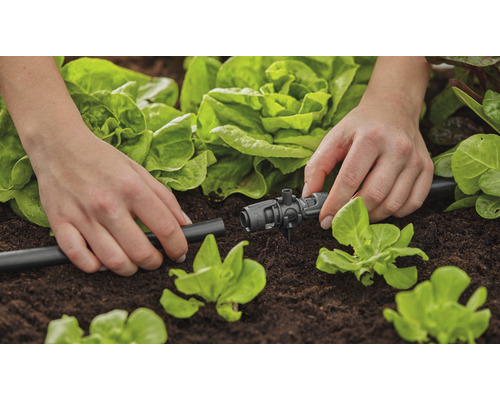GARDENA Micro-Drip-System T-stuk sproeikoppen 13 mm (1/2