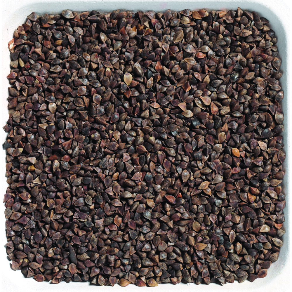 Beyers Boekweit 20 kg