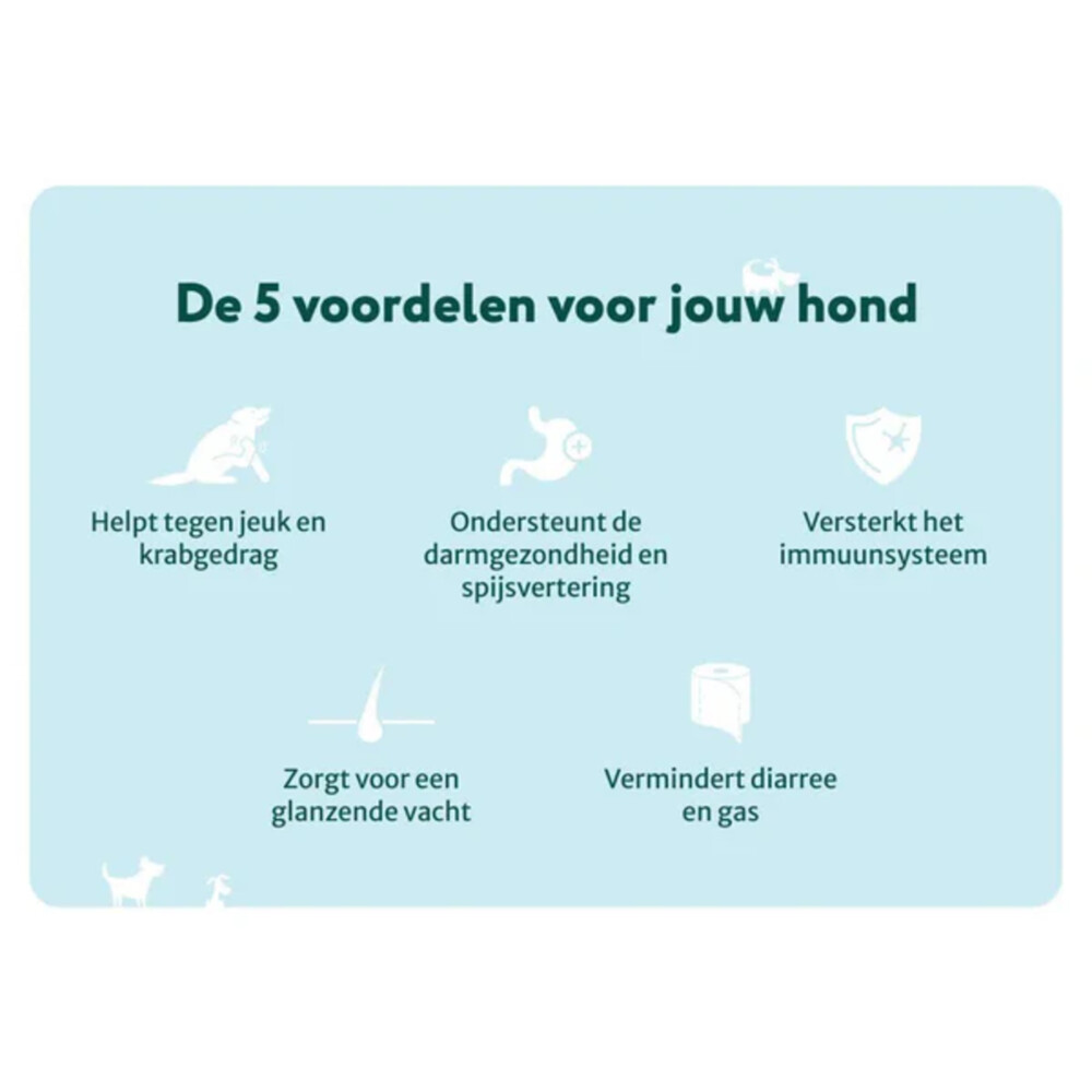 DogSuppy Anti Jeuk Zonder vlees (insect)60 stuks