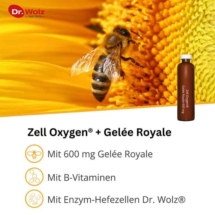 Zell Oxygen + Gelee Royale 600 mg Trinkampullen, 14X20 ml