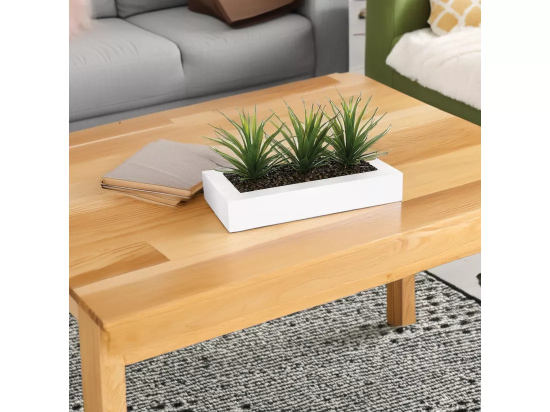 WELL HOME - Centre de table décoratif 3 plantes d'Aloe Vera H.17