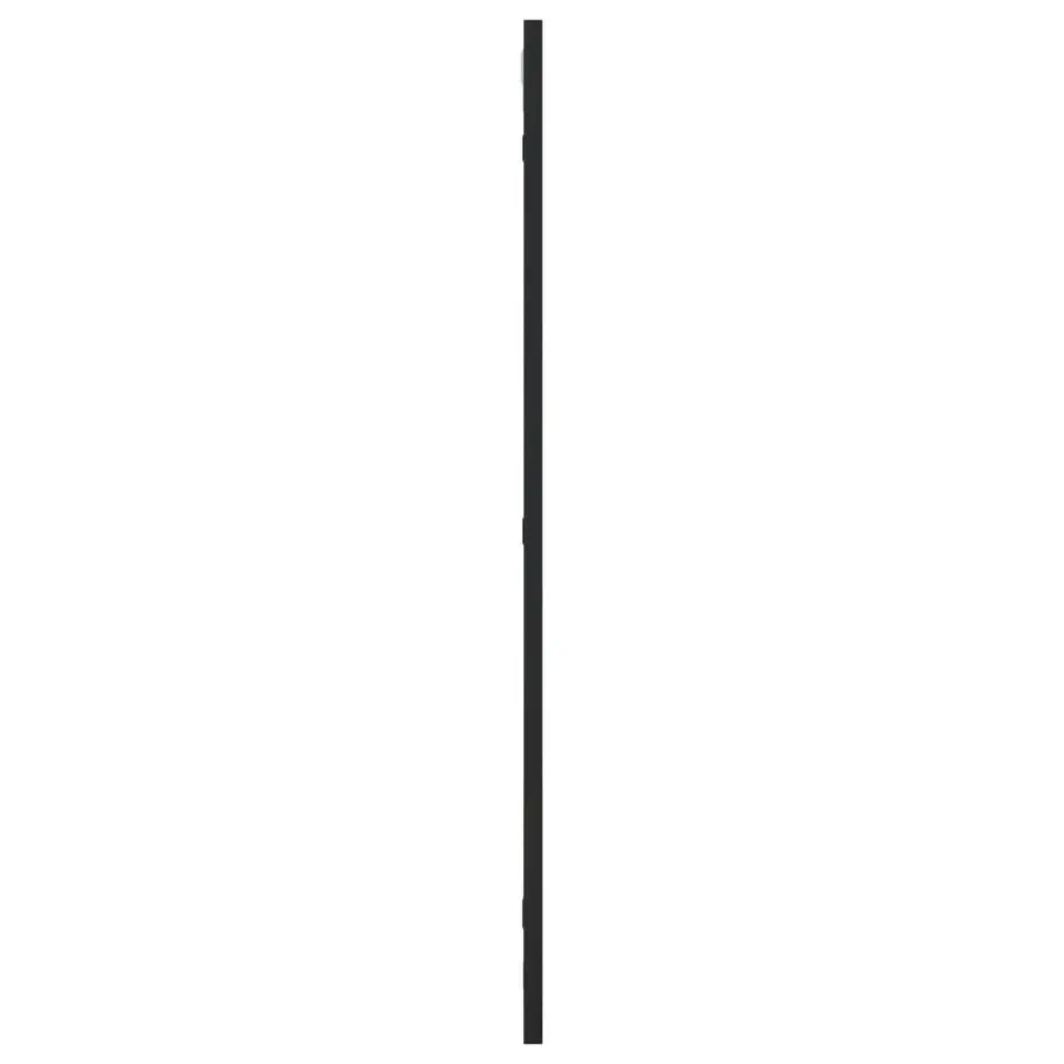 vidaXL - Wandspiegel - Zwart - IJzer - 40 x 80 cm