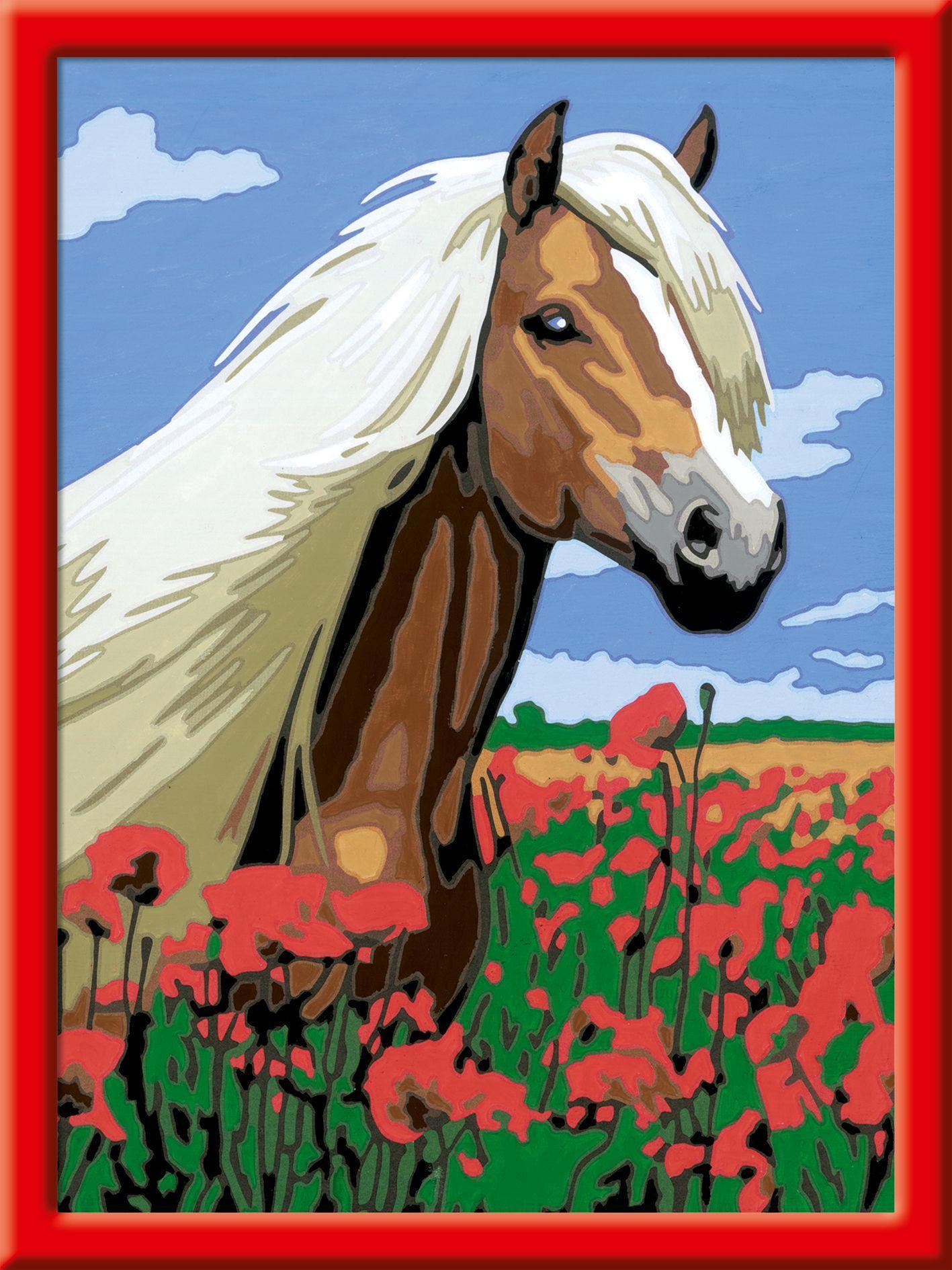 Mal-Set MALEN NACH ZAHLEN PFERDE – HAFLINGER mit Sticker