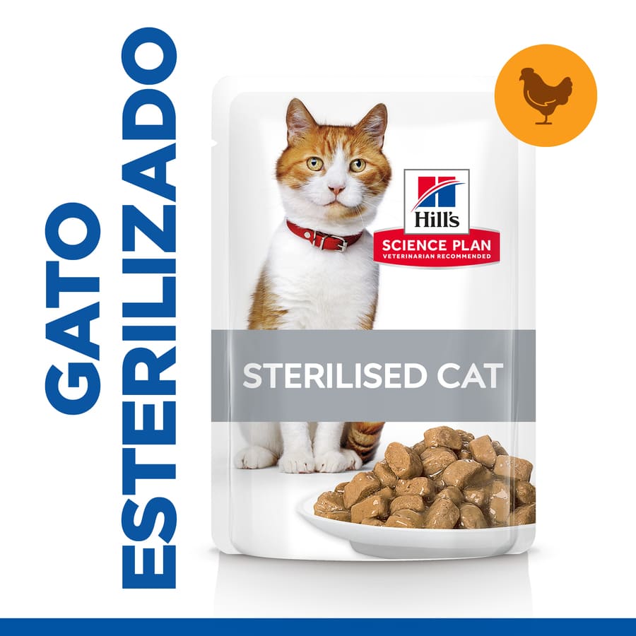 Plano de Ciências Hill's Pollo sobre gatos esterilizado para jovens adultos