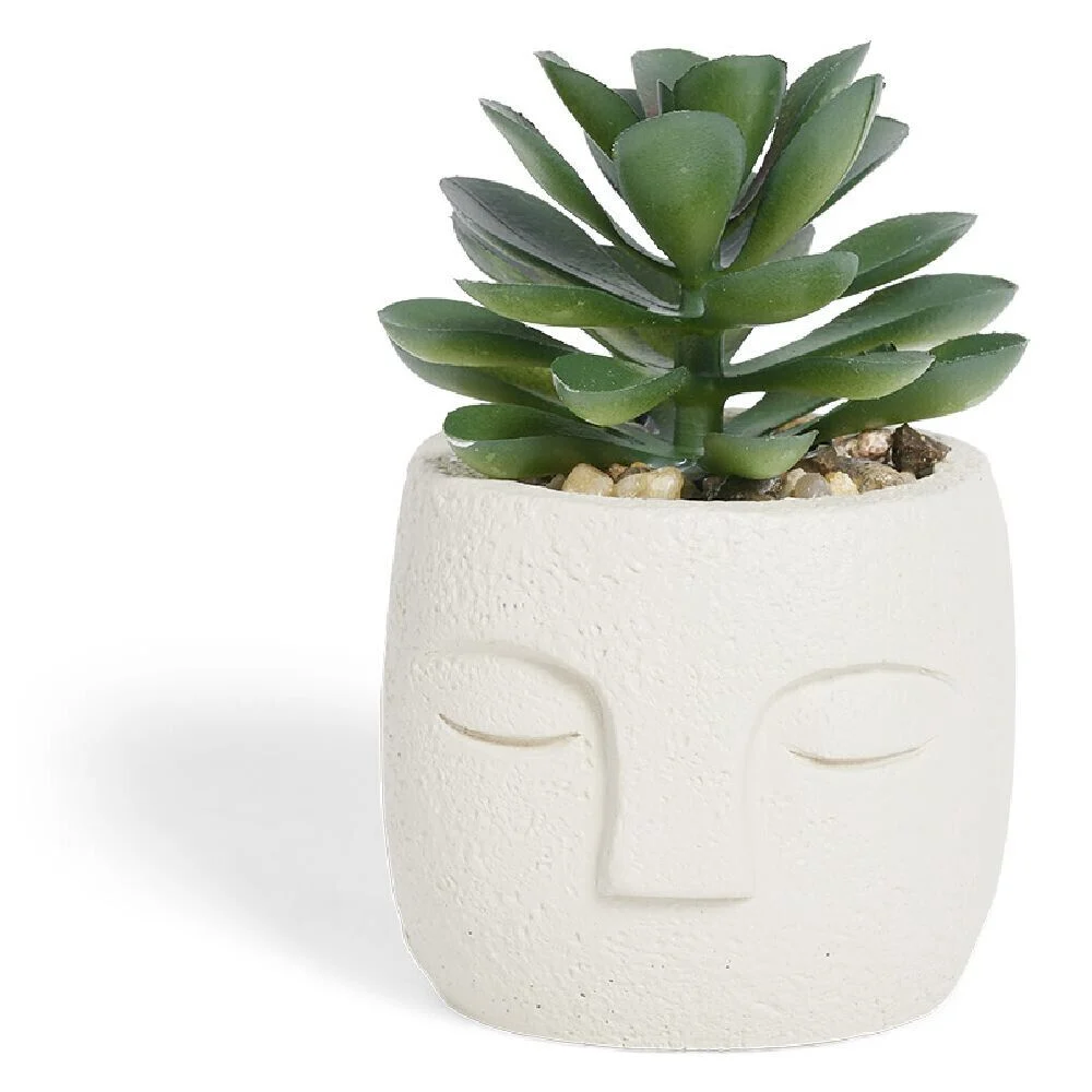 Plante artificielle pot ciment forme visage Ø6,5xH9cm