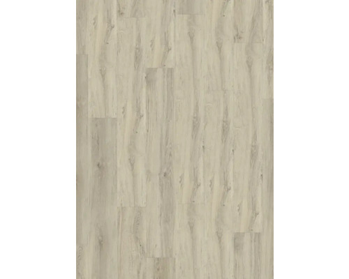 Vinyl plank Dryback 55 Appaloosa Taupe, om te verlijmen, 23x150 cm