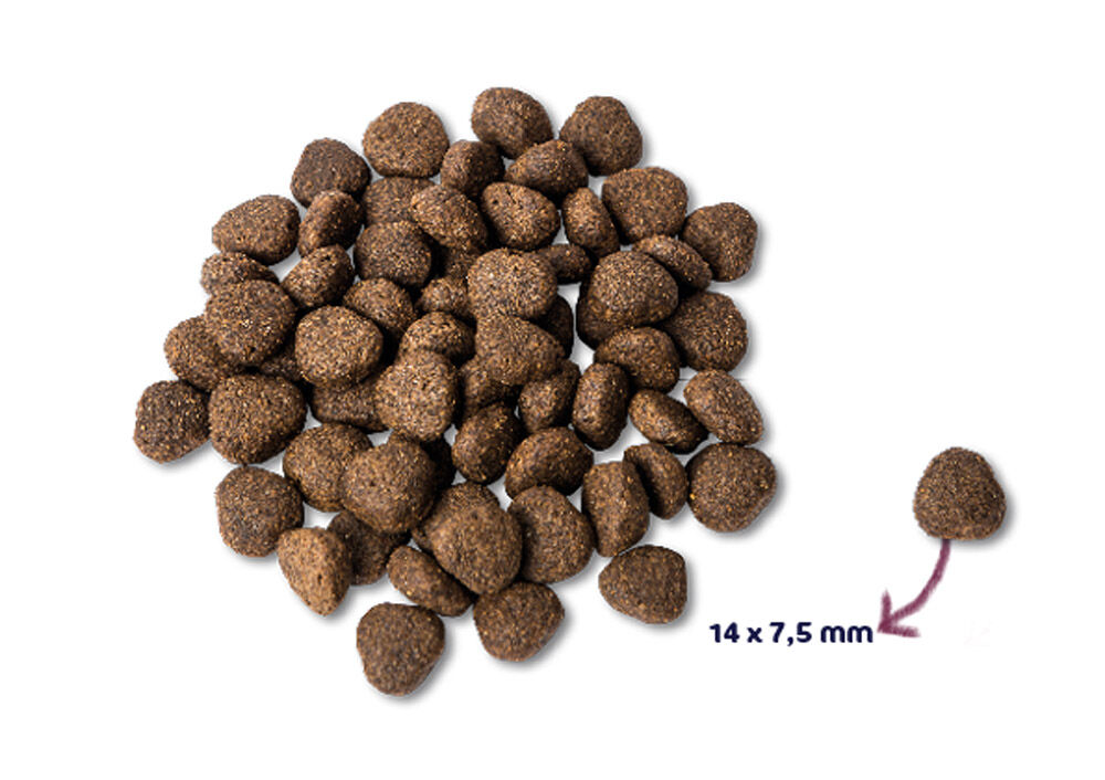 Renske Adult - Hondenvoer - 12 Kilogram - zalm
