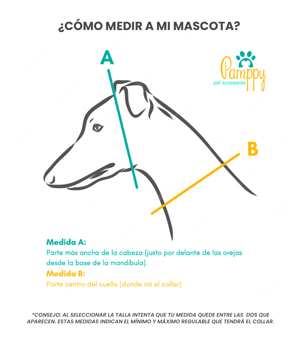 Coleira para cães Pamppy Galgo Speedy Evan