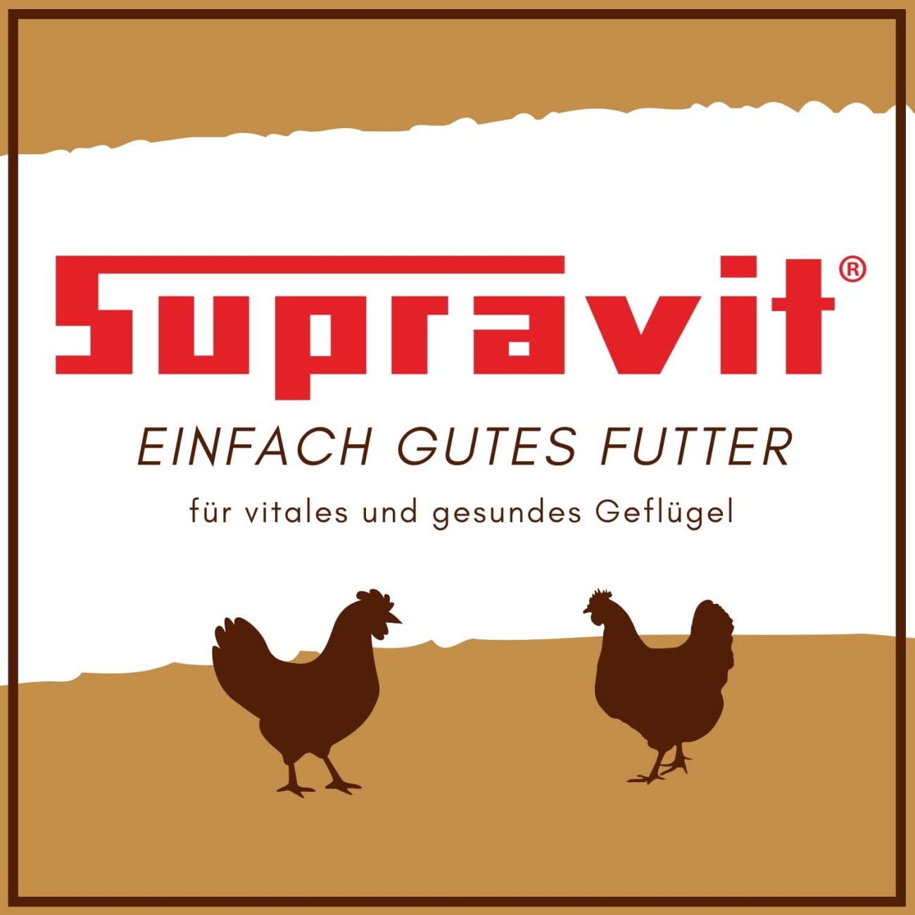 Supravit Braugerste - Ergänzungsfutter für Hühner und Tauben - energiereiches Zusatzfutter liefert wertvolle Kohlenhydrate - leicht verdaulich und gut verträglich 2,5 kg