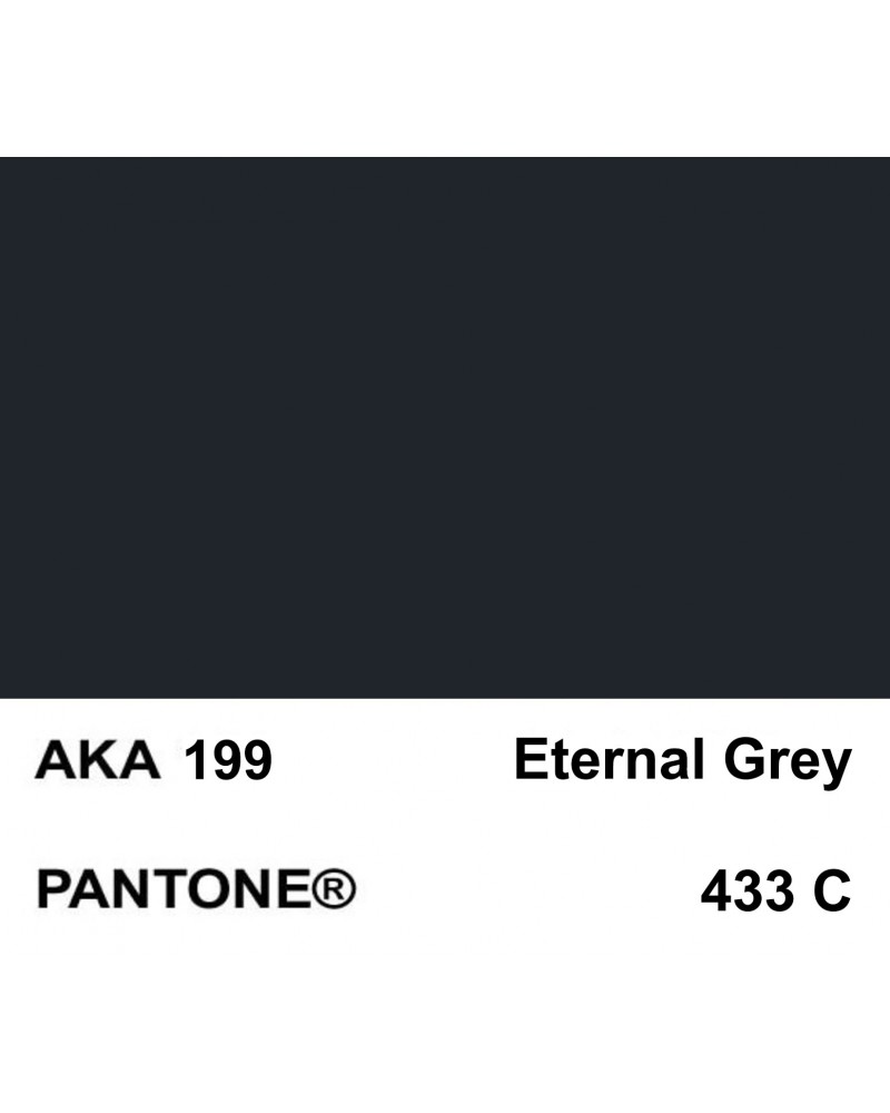 Gris Eternel -  Pantone 433 C