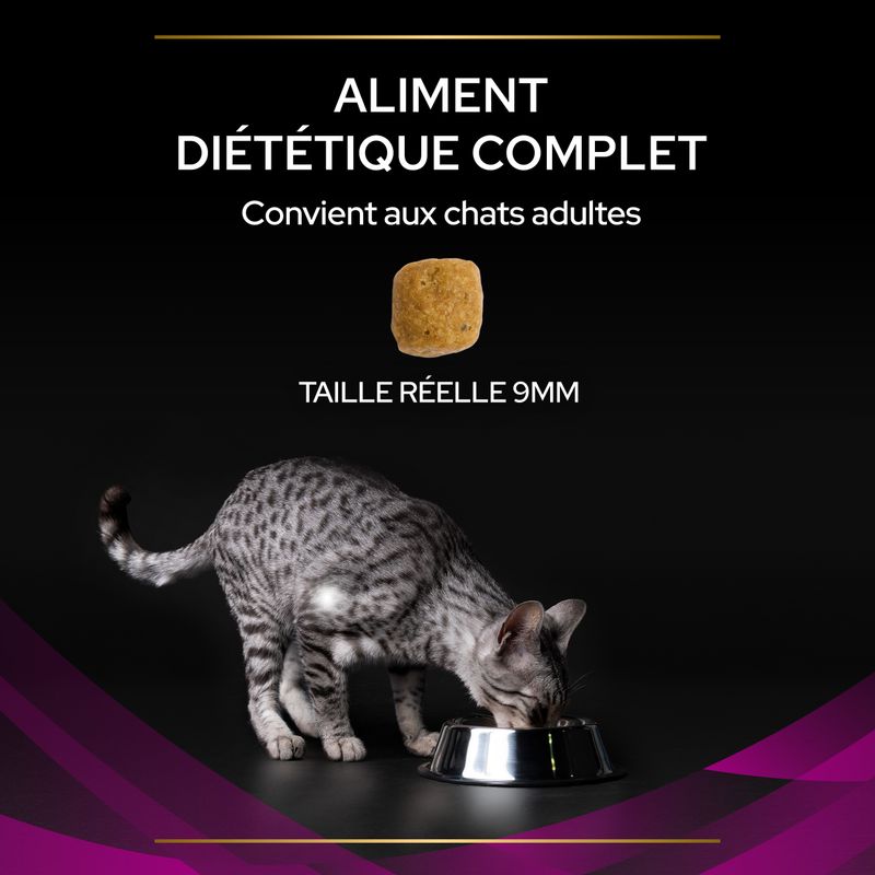 PURINA PRO PLAN Veterinary Diets UR ST/OX Urinary, poulet