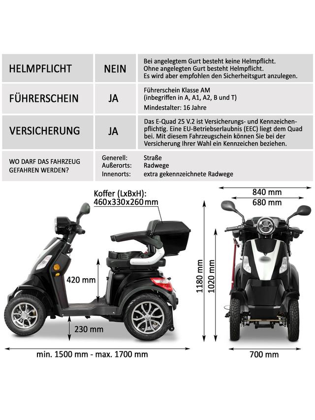 Elektroroller Theo 25 mit BG Akku