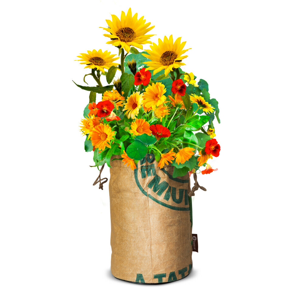 Baza Bio Wildbloemen Met Insectenhotel Oranje