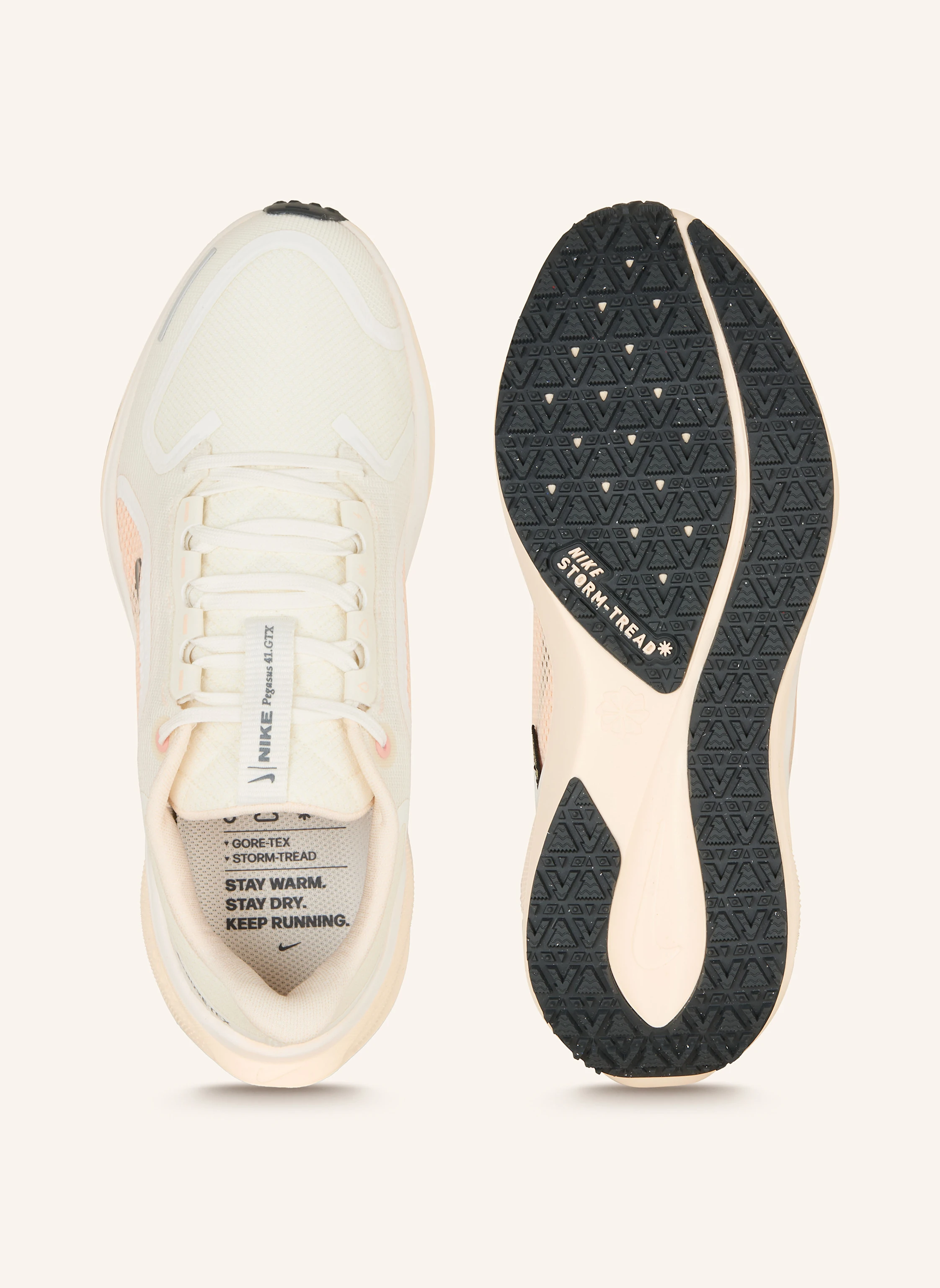 Nike Laufschuhe AIR ZOOM PEGASUS 41 GTX