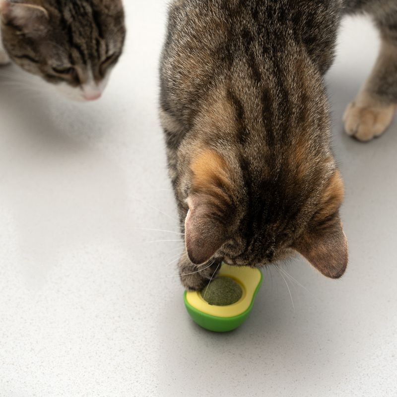 Jouet TIAKI Avocat avec balle de menthe à chat