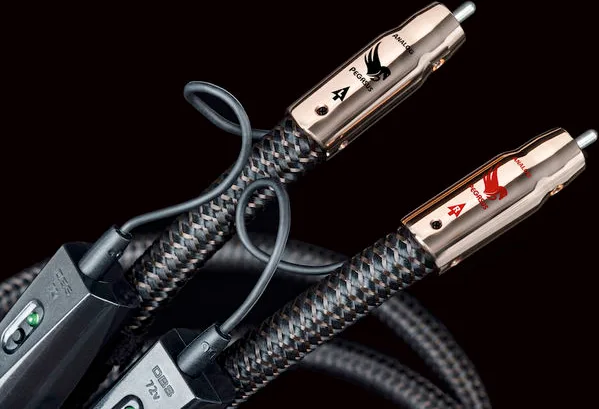 Audioquest Pegasus RCA (2 x 2 m) Câbles RCA/Cinch stéréo