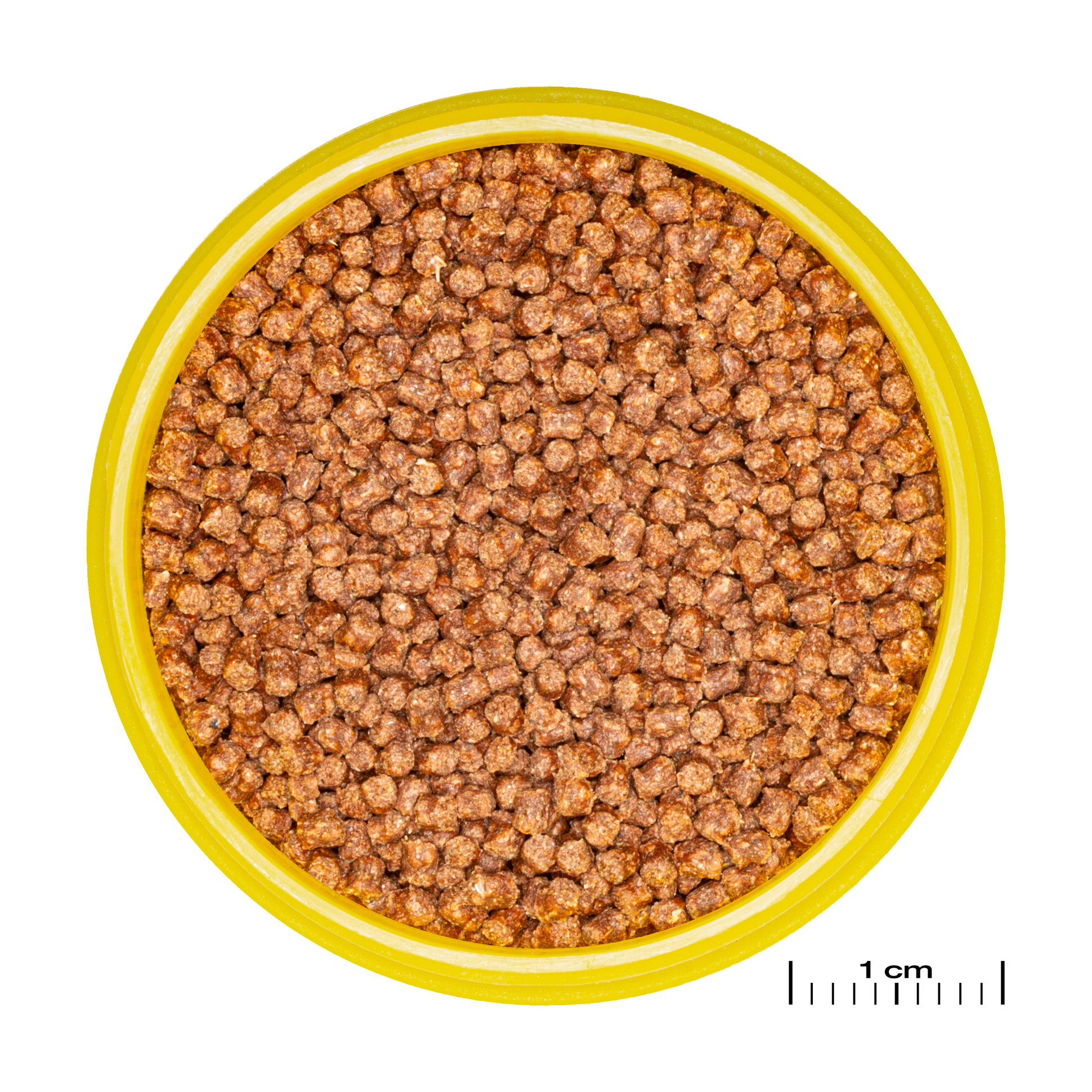 JBL Pronovo Fantail Grano S 100ml Click | Zinkend granulaat