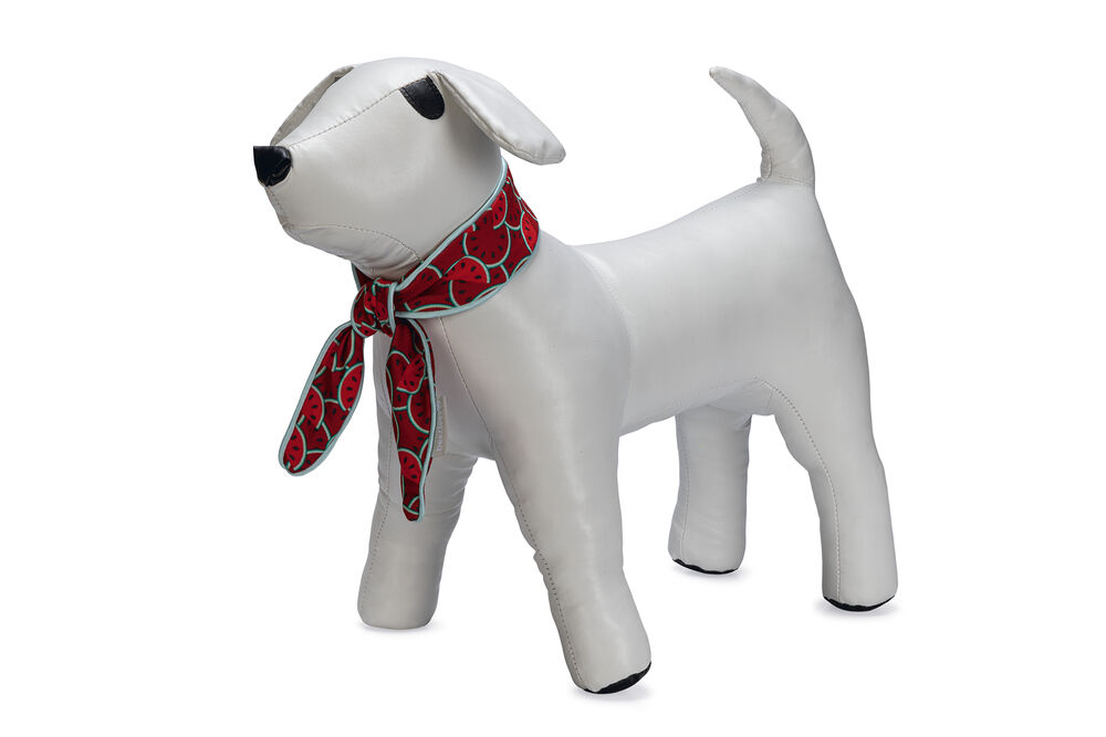 Beeztees Quick Cooler Meloenie - Halsband Hond - rood - S