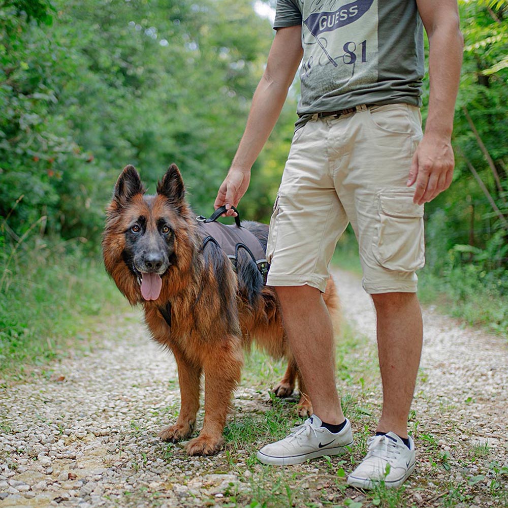 Ferplast harnais grand chien ergotrekking large, harnais chien anti-évasion, anti-panique, lévrier, réfléchissant, 6 fermetures,