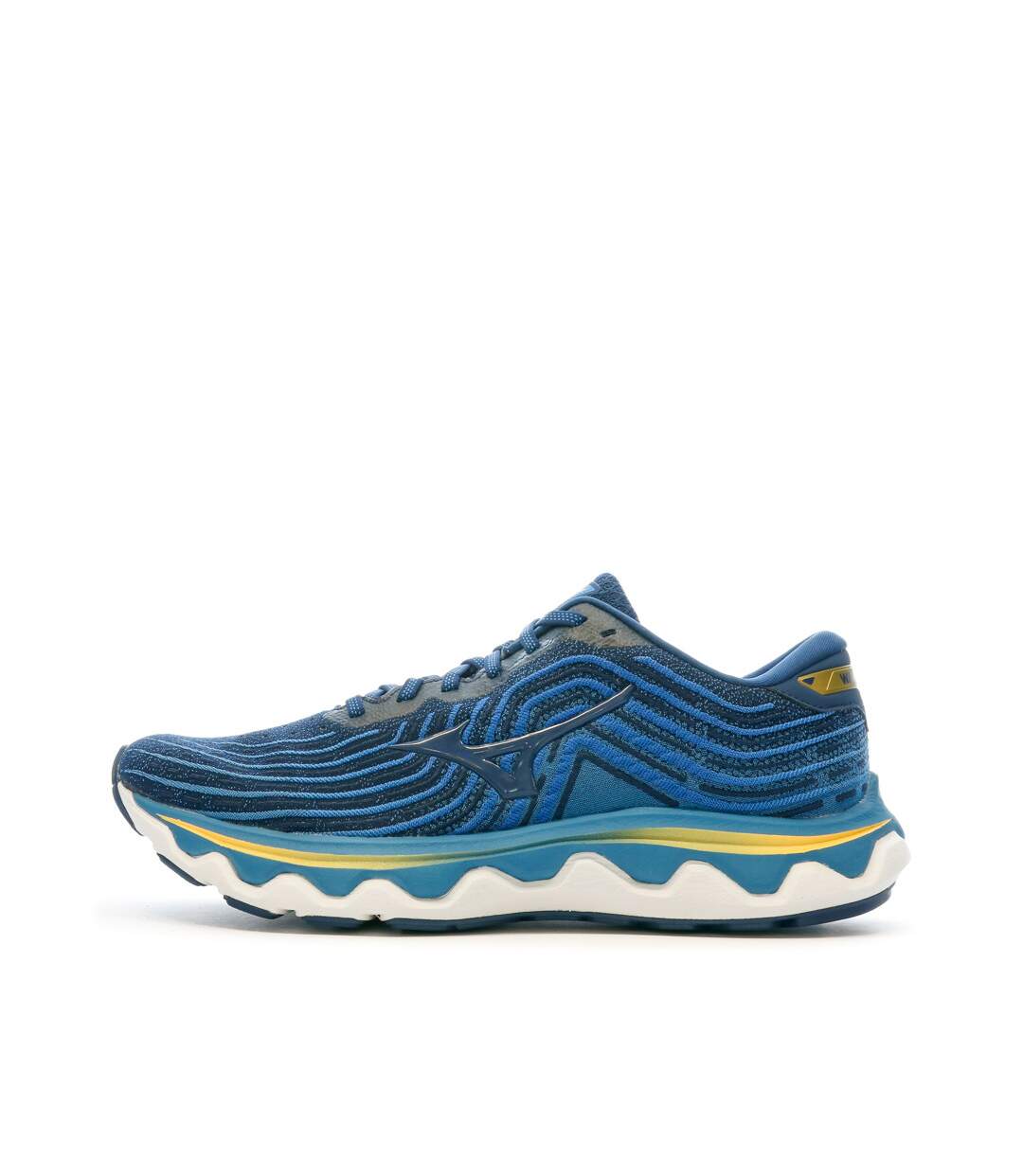 Chaussures de Running Bleu Homme Mizuno Wave Horizon 6