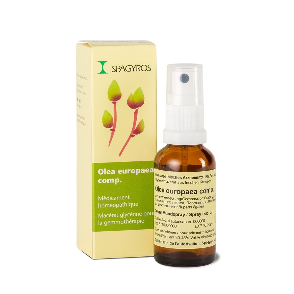 Spagyros Olea europaea Glyc Maz 1 D Spr 30 ml