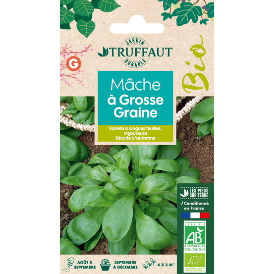 Graines de Mâche à Grosse Graine Bio