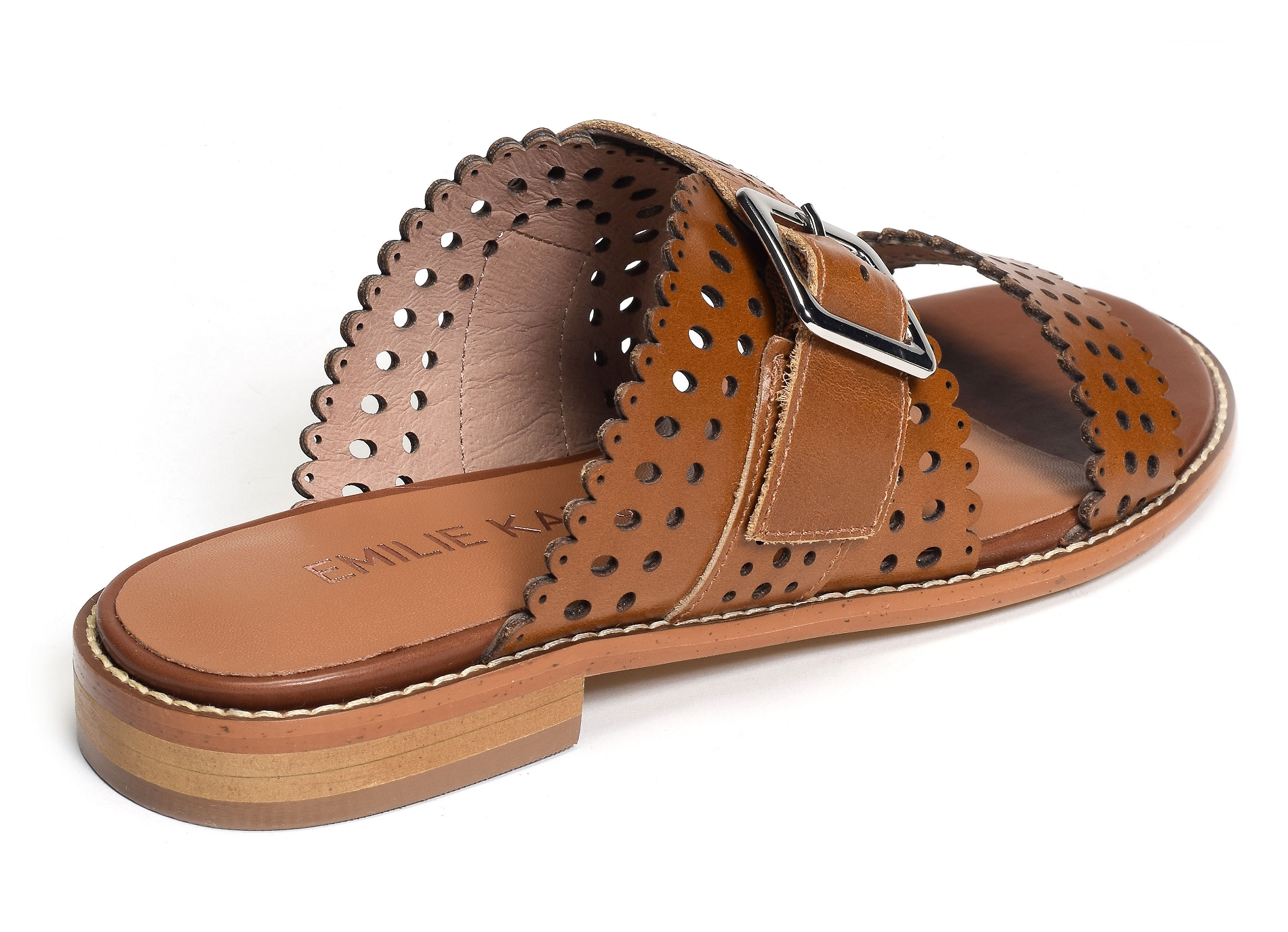Xana camel