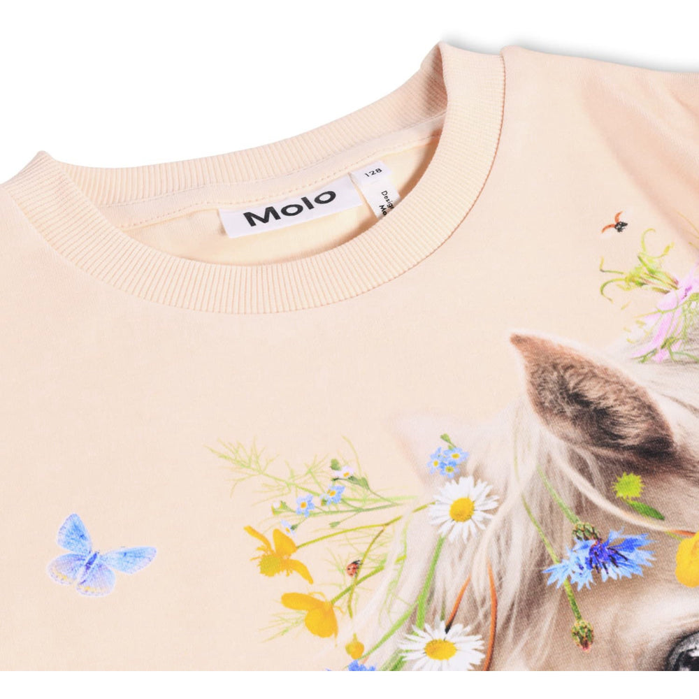 Køb Molo Meadow Horse Mountoo Sweatshirt