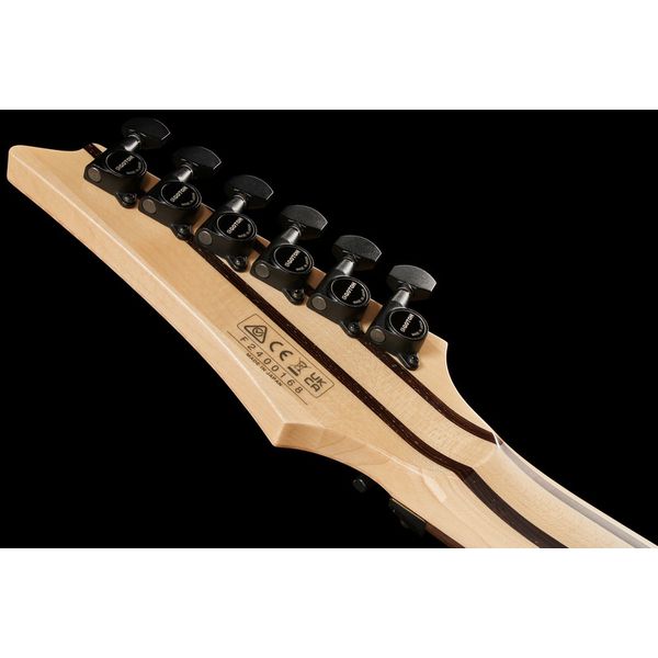 Ibanez RG8870-BRE