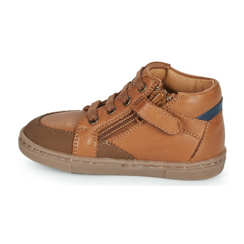 GBB - HEDDY FLEX - Marron