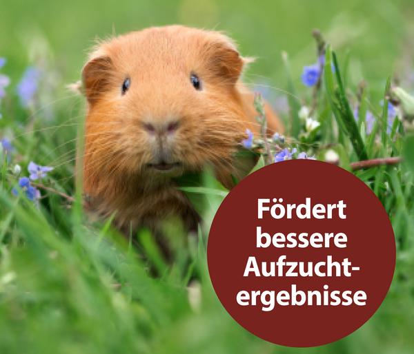 Quiko® Ergänzungsfutter für Nager