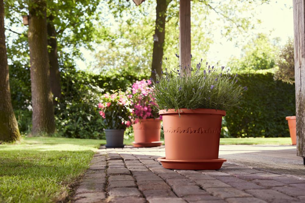 Elho bloempot Algarve terracotta D 29,2 H 24,6 cm