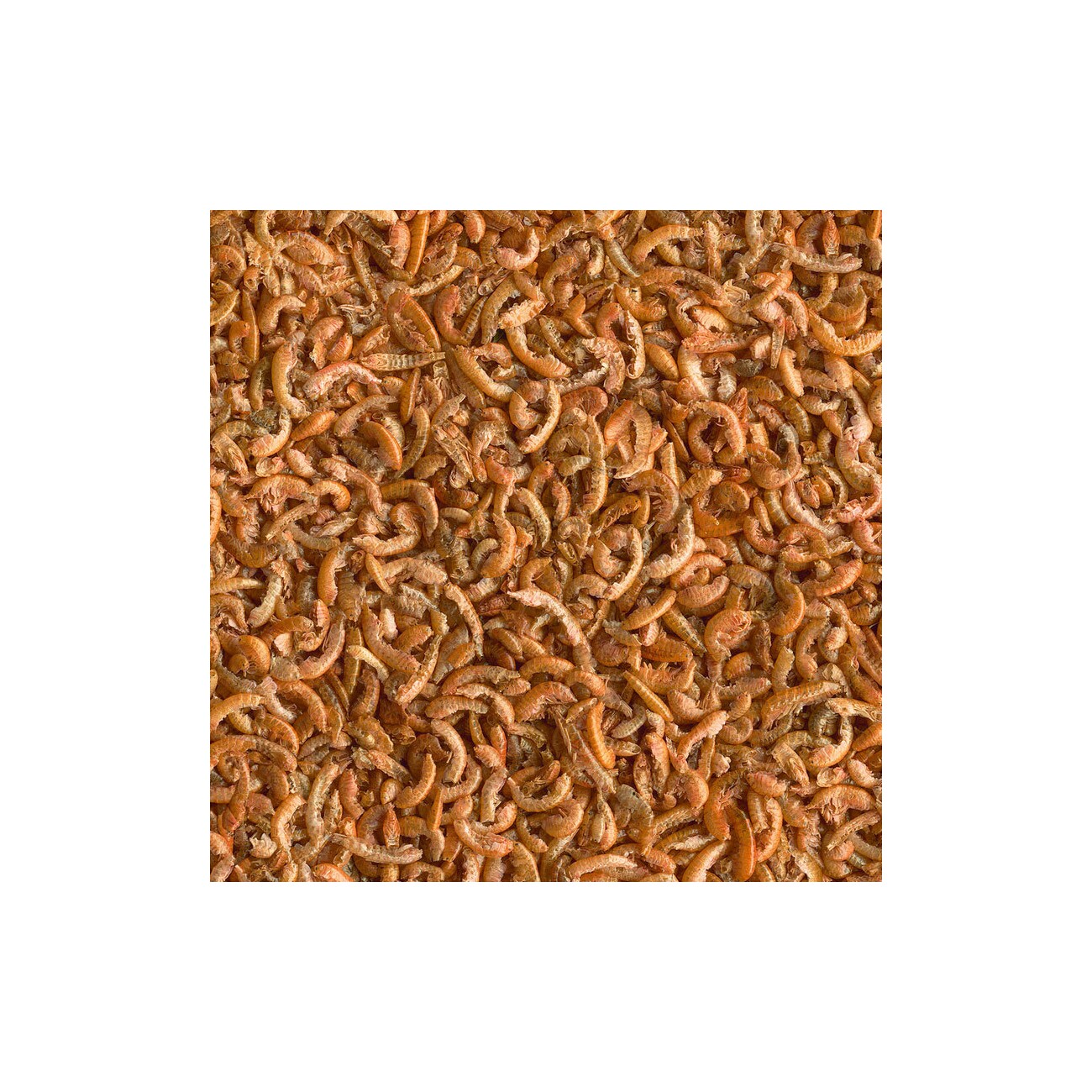 Tetra Gammarus 1l