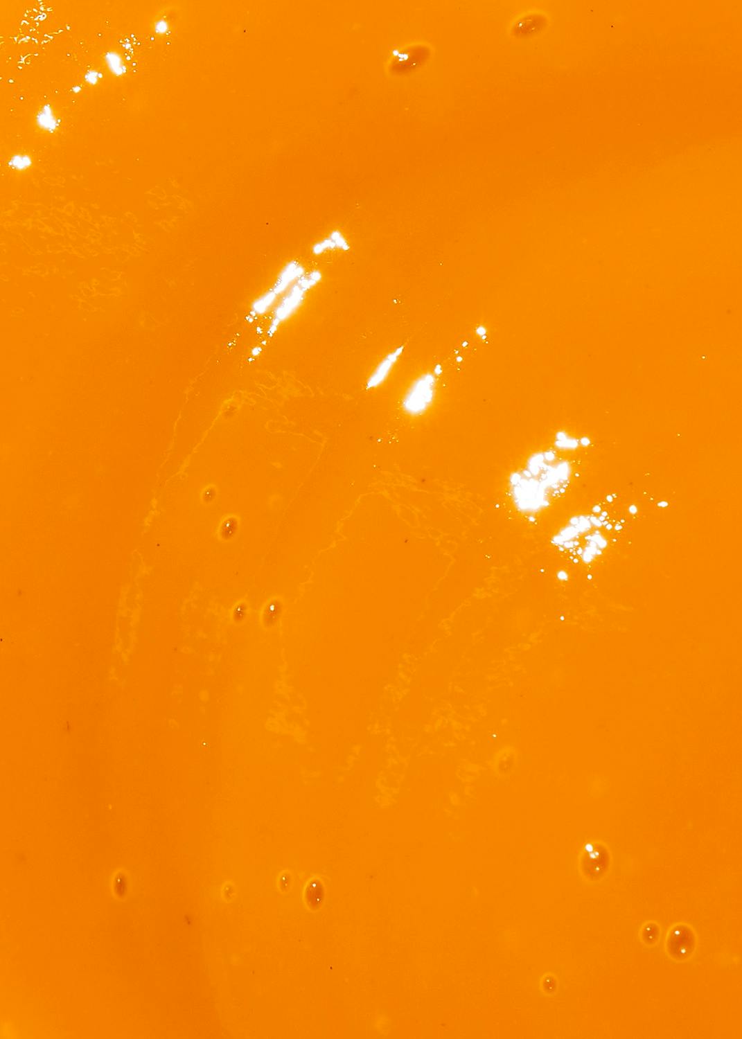 Fruchtpüree Mango 1 kg