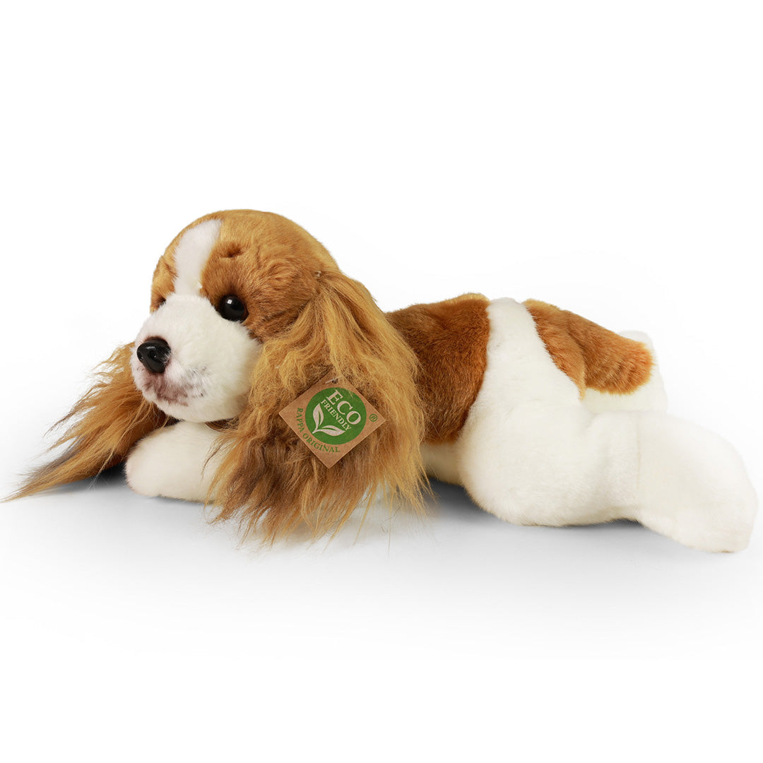 rappa knuffelhond cavalier - 30 cm