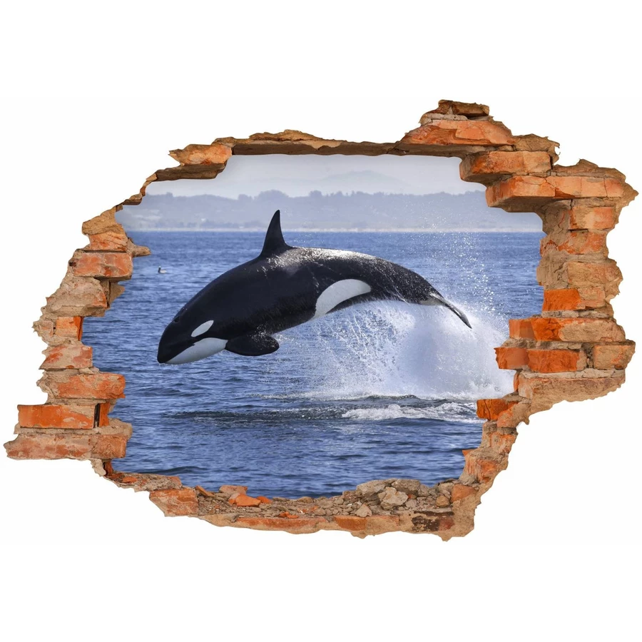 Nikima Wandtattoo 102 Orca - Loch in der Wand in 6 vers. Größen bunt