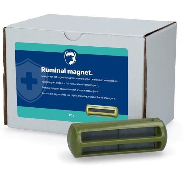 Ruminal Magnet storfe
