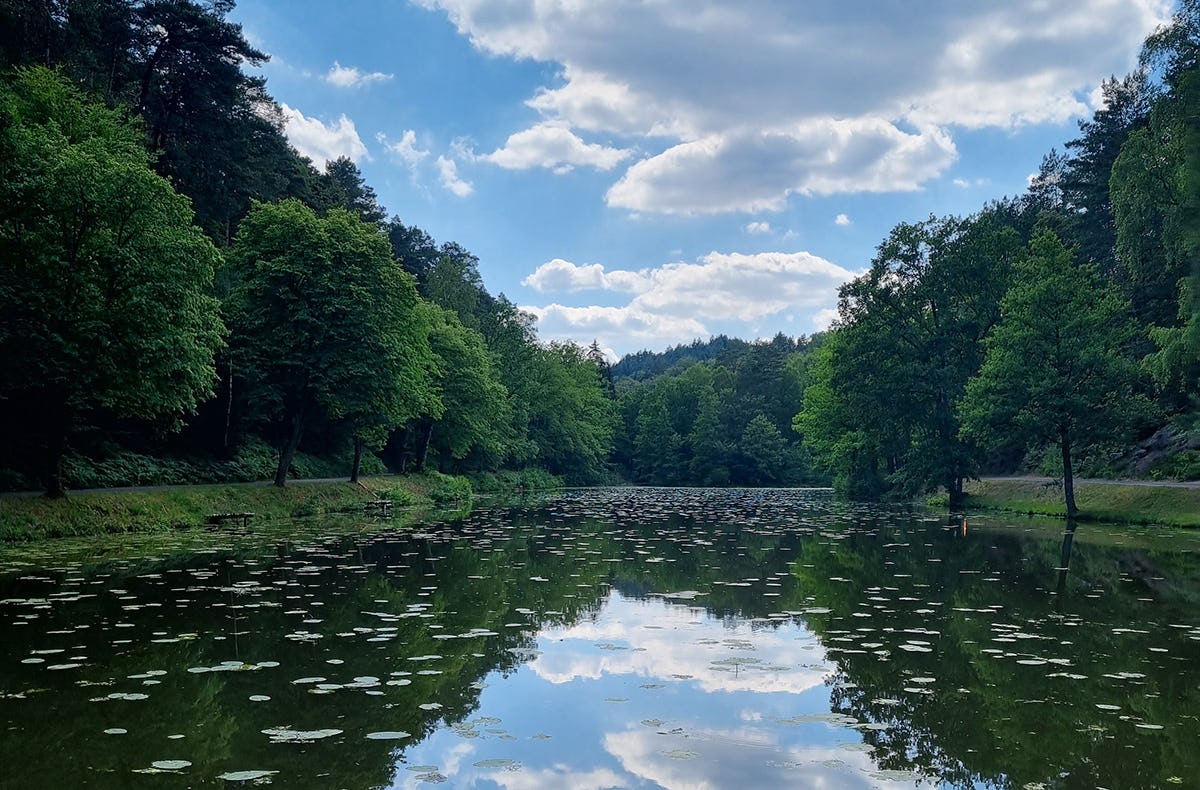 Eselwanderung Eppenbrunn (2 Std.)