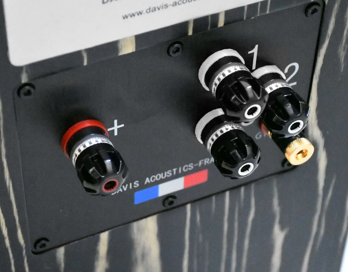 Davis Acoustics MV One Master Ébène laqué (la paire) Enceintes colonne