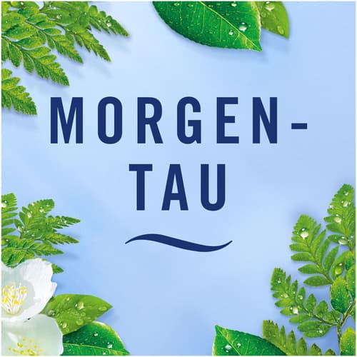 Febreze Morgentau Lufterfrischer Raumduft Spray
