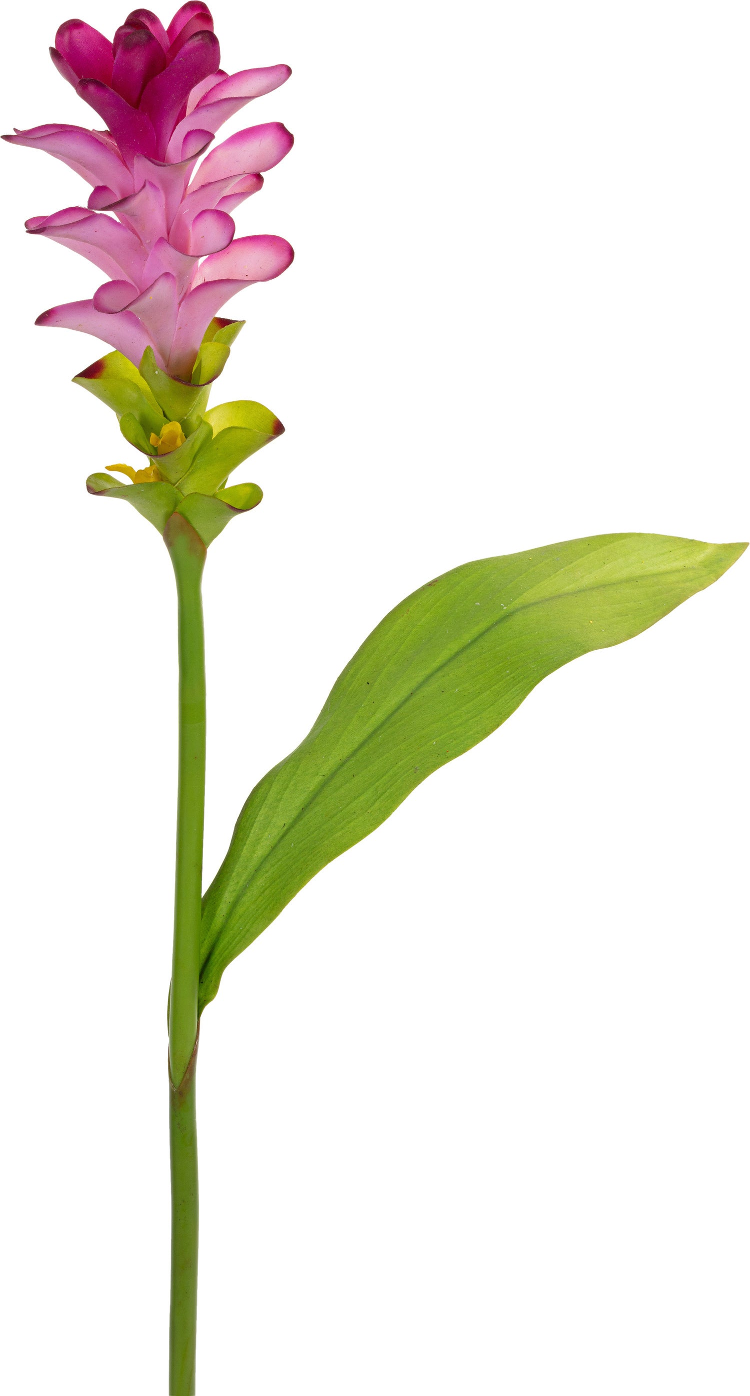 Louis Maes kunstbloem Curcuma roze L 75 cm
