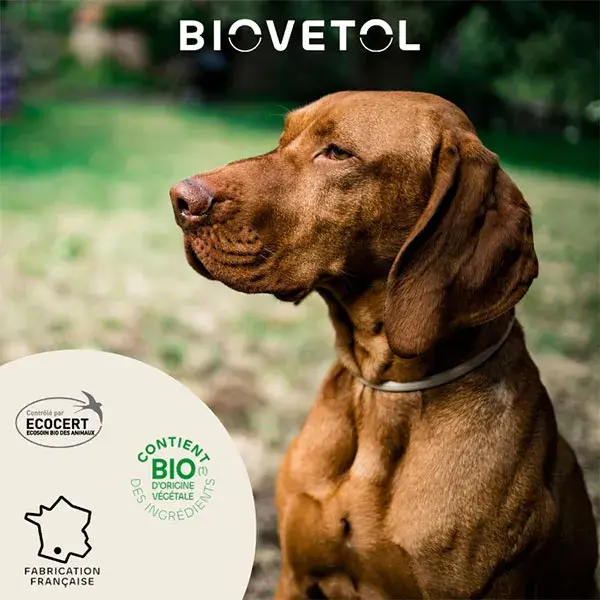 Biovetol - Antiparasitário - Pipetas Orgânicas para Cães de Grande Porte - 5ml (x3+1)